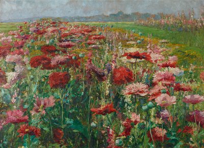Blühende Mohnblumen von Olga Wisinger-Florian