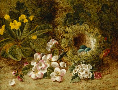 Apfelblüten, eine Primel und ein Vogelnest auf einem moosigen Ufer von Oliver Clare