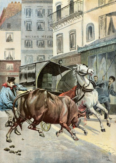 Ein Stier entkommt seinem Wächter, 1895 von Oswaldo Tofani
