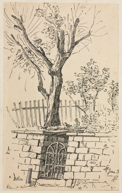 Baum auf einer Steinmauer, Cleveland von Otto H. Bacher
