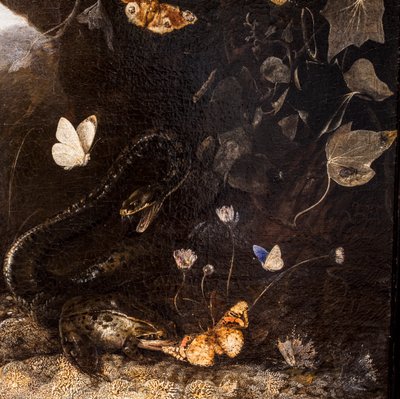 Schlangen, Kröten und Schmetterlinge von Otto Marseus van Schrieck