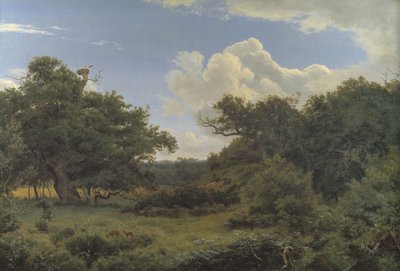 Eichen in Nordskoven bei Jægerspris, Seeland von P.C. Skovgaard