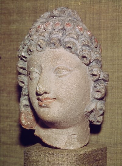 Kopf eines Buddha, griechisch-buddhistischer Stil, 1.-4. Jahrhundert von Pakistani School