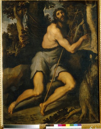 Johannes der Täufer in der Wüste von Palma Il  Giovane