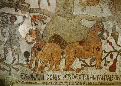 Zwei Elefanten an den Wurzeln des Lebensbaums von Pantaleone Pantaleone