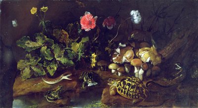 Stillleben mit einer Schlange, Fröschen, Schildkröte und Eidechse von Paolo Porpora