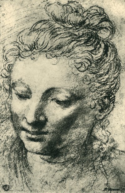 Kopf einer Frau, die nach unten schaut, Mitte des 16. Jahrhunderts, 1943 von Paolo Veronese