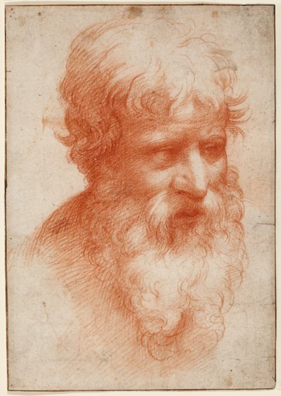 Kopf eines bärtigen Mannes, nach rechts blickend, ca. 1523-25 (Rötel auf Papier) von Parmigianino (1503 40)