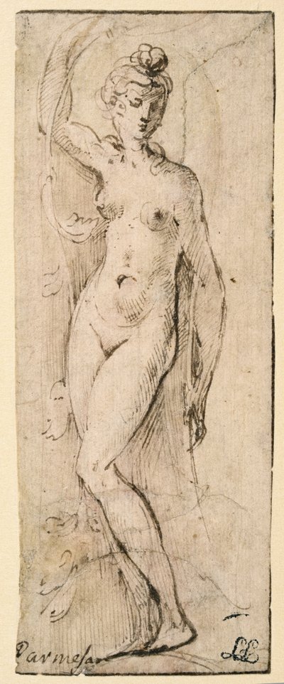 Weibliche Figur - Studie für Santa Maria della Steccata, Parma (recto) von Parmigianino