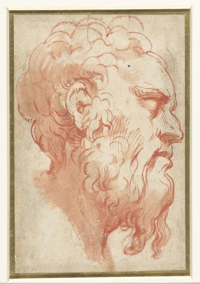 Kopf eines alten Mannes, im Profil nach rechts von Parmigianino