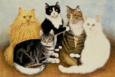 Fadenspiel von Pat Scott