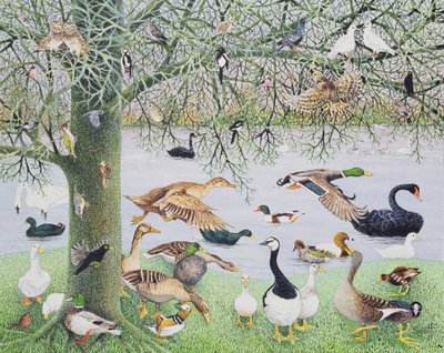 Die seltsame Ente von Pat Scott