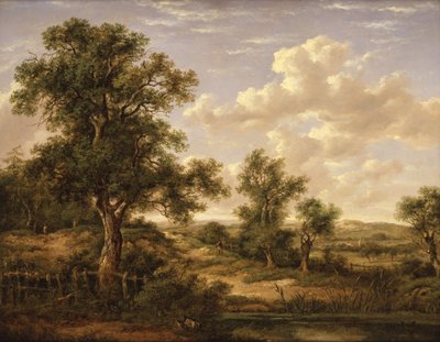 Heideland bei Godstone von Patrick Nasmyth