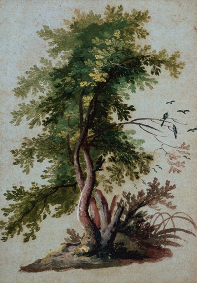Ein Baum mit zwei Vögeln auf einem Ast von Paul Brill or Bril