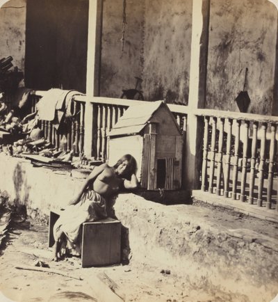 Chien de Garvel Martinique von Paul Emile Miot