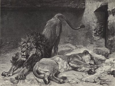 Das Erwachen des Löwen von Paul Friedrich Meyerheim
