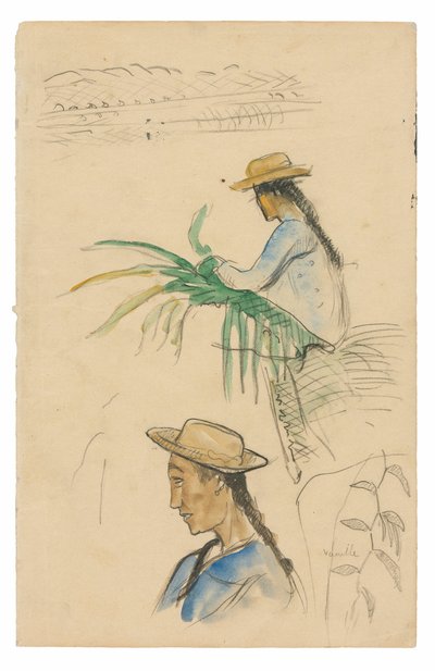 Skizzen von Figuren, Pandanusblatt und Vanillepflanze von Paul Gauguin