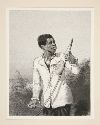 Der Bobre von der Insel Mauritius von Paul Gavarni