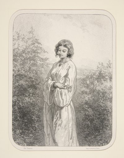 Die Margeriten von Paul Gavarni