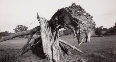 Monsterfeld, Carswall