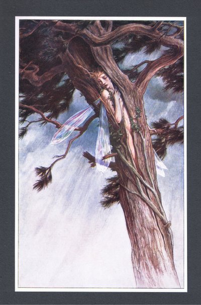 Sie hat dich eingesperrt, mit Hilfe ihrer mächtigsten Diener und in ihrer unversöhnlichsten Wut, in eine gespaltene Kiefer, Illustration aus Der Sturm, 1908 von Paul Vincent Woodroffe