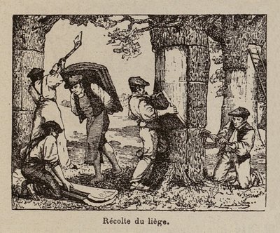 Korkernte von Paul de Laubadere