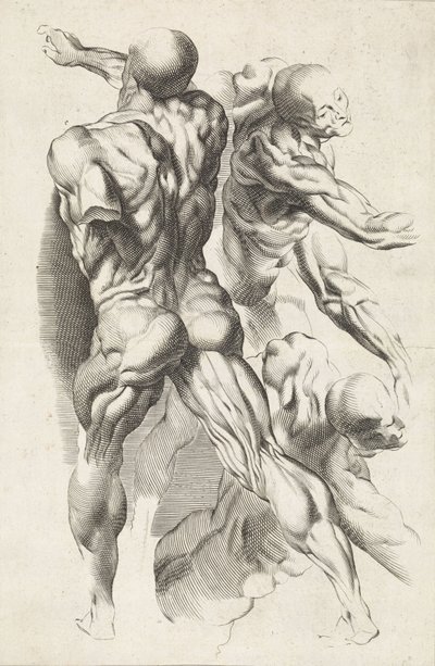 Anatomische Studie von drei Figuren mit ausgestreckten Armen (Das Zeichenbuch von Peter Paul Rubens) von Paulus Pontius