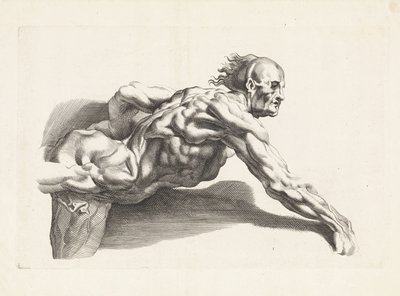 Anatomische Studie eines sich vorbeugenden Mannes von Paulus Pontius