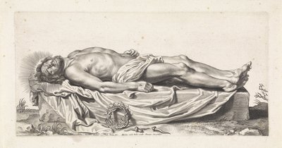 Leichnam des toten Christus von Paulus Pontius