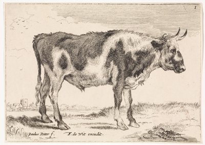 Gevlekte os von Paulus Potter (rejected attribution)