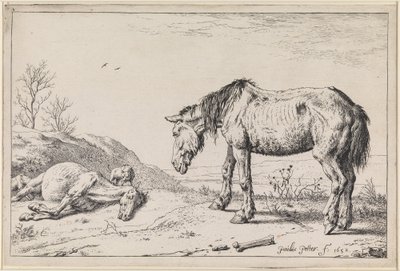 Abgelebte Pferde von Paulus Potter