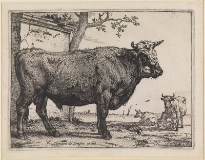 Der Stier von Paulus Potter