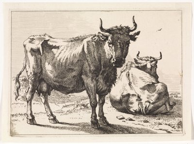 Eine stehende und eine liegende Kuh Das Bullenbuch (Serientitel) von Paulus Potter