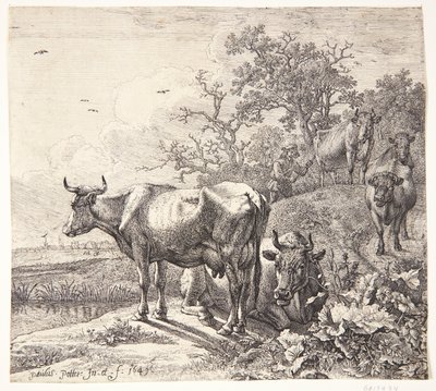 Kohyrden von Paulus Potter