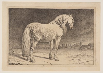 Das Friesenpferd, aus der Serie der Pferde von Paulus Potter