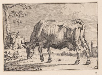 Die weidende Kuh, aus Verschiedene Ochsen und Kühe von Paulus Potter