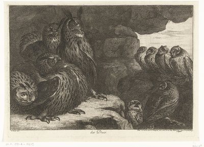 Eulen in einer Höhle (Vögel aus der Menagerie von Versailles) von Peeter Boel (attributed to)
