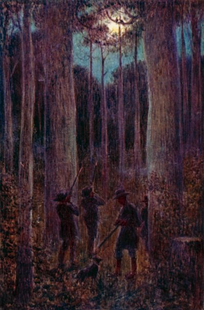 Der australische Wald bei Nacht, "Mondschein"-Opossums von Percy F.S. (after) Spence