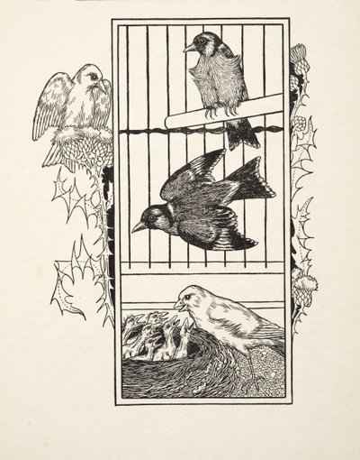Ein wohltätiger Kanarienvogel, aus Hundert Anekdoten über Tiere, veröffentlicht 1924 von Percy J. Billingshurst