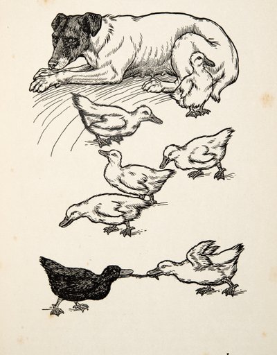 Eine ungewöhnliche Amme, aus Hundert Anekdoten über Tiere, veröffentlicht 1924 von Percy J. Billingshurst