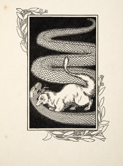 Schlangentöter, aus Hundert Anekdoten von Tieren, veröffentlicht 1924 (Gravur) von Percy J. Billingshurst
