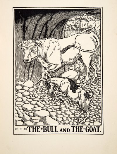 Der Stier und die Ziege, aus Hundert Fabeln von Äsop, veröffentlicht 1903 (Gravur) von Percy J. Billingshurst