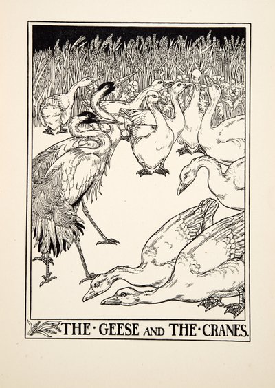 Die Gänse und die Kraniche, aus Hundert Fabeln von Aesop, veröffentlicht 1903 von Percy J. Billingshurst