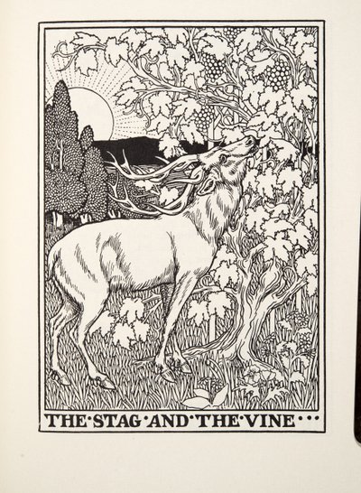Der Hirsch und die Rebe, aus Fontaine Fabeln, veröffentlicht 1905 von Percy J. Billingshurst