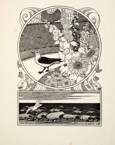 Die zahme Möwe, aus Hundert Anekdoten von Tieren, veröffentlicht 1924 (Gravur) von Percy J. Billingshurst
