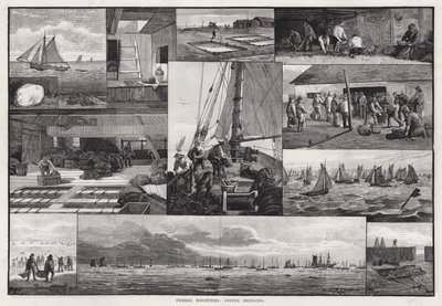 Fischereiindustrie, Austernbaggern (Gravur) von Percy Robert Craft