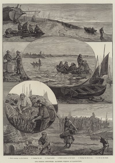 Unsere Fischereiindustrie, Makrelenfischen in Eastbourne (Gravur) von Percy Robert Craft