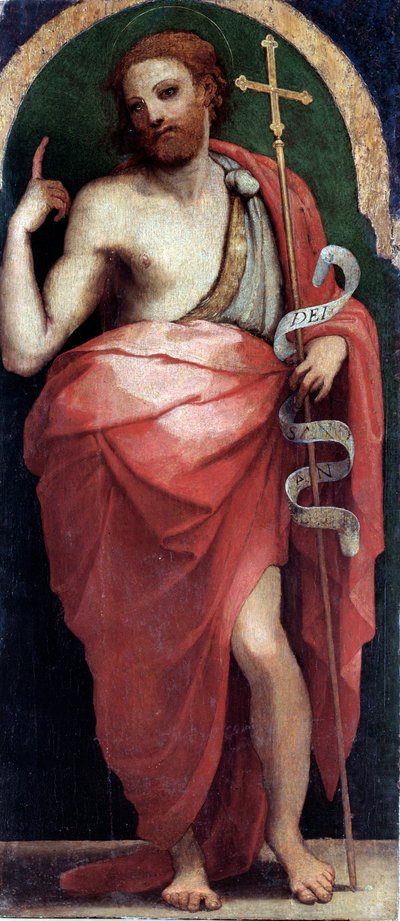 Johannes der Täufer, Seitenpaneel (Öl auf Holz, ca. 1535) von Perino del Vaga