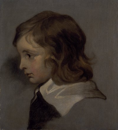 Kopf eines jungen Jungen von Peter (follower of) Lely