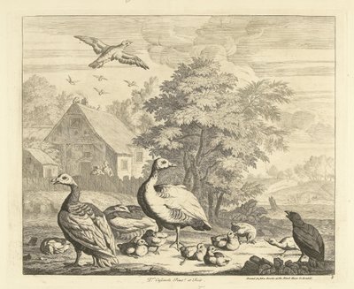 Gänse mit Küken an einem Bach von Peter Casteels (III)